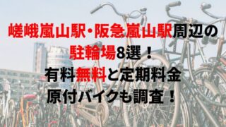 https://charinko-tometai.com/saga-arashiyama-bicycle-parking/