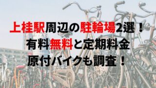 https://charinko-tometai.com/kami-katsura-bicycle-parking/