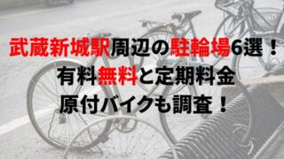 musashi-shinjo